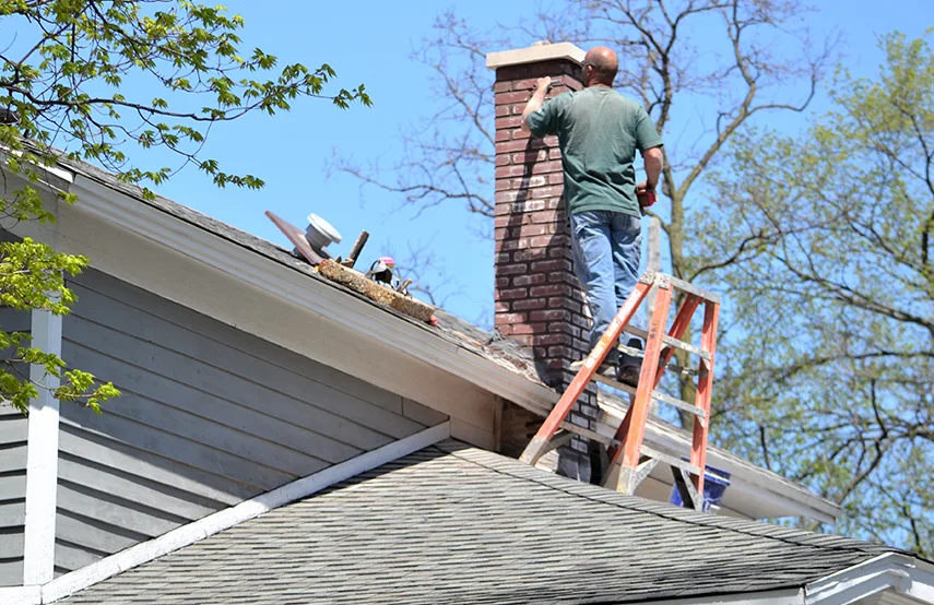 Chimney & Fireplace Inspections Services in Batavia, IL